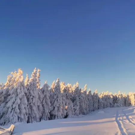 Apartment Tannhaeuser Braunlage