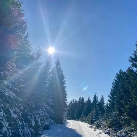 Tannhaeuser * Braunlage