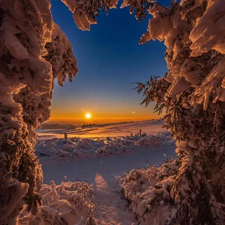 Tannhaeuser Apartment *