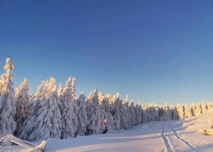 Daire Tannhaeuser Braunlage