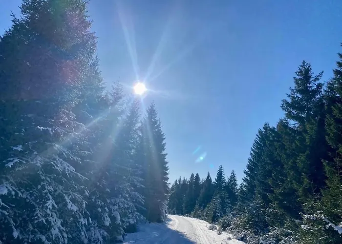 Tannhaeuser * Braunlage